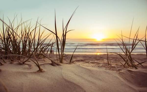Découverte des campings à Argelès-sur-Mer proches de la plage