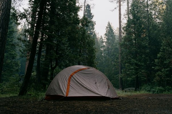 Découvrez les meilleurs spots de camping à Fontainebleau
