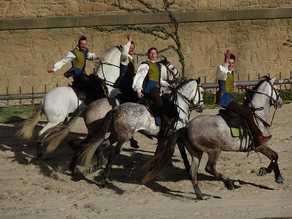 Les Meilleurs Campings à Proximité du Puy du Fou : Votre Guide Complet