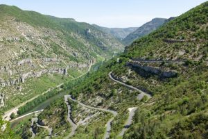 Paysage et environnement des Gorges du Tarn